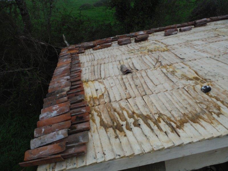Restauration d'un lavoir en Deux-Sèvres